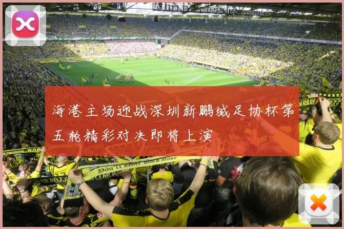 海港主场迎战深圳新鹏城足协杯第五轮精彩对决即将上演